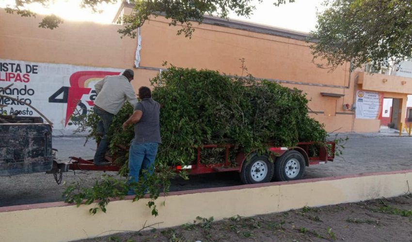Labores de limpieza en Plaza Juárez y calles principales